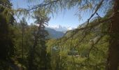 Tour Wandern Ayent - Lac de Tseuzier - Col du Rawil 30.06.15 - Photo 4