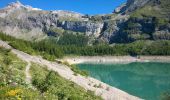 Tour Wandern Ayent - Lac de Tseuzier - Col du Rawil 30.06.15 - Photo 1