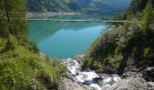 Tocht Stappen Ayent - Lac de Tseuzier - Col du Rawil 30.06.15 - Photo 3