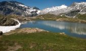 Tour Wandern Ayent - Lac de Tseuzier - Col du Rawil 30.06.15 - Photo 5
