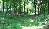 Tocht Andere activiteiten Forest-Montiers - Forêt de Crecy - Photo 1