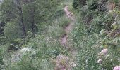 Trail Walking L'Hospitalet-près-l'Andorre - Etang de Besines - Photo 4