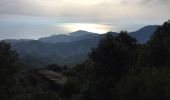 Trail Walking Argelès-sur-Mer - ARGELES SUR MER 66 - VALMY - tour de la Massane - les Colomates  - Photo 20