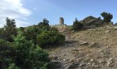 Randonnée Marche Argelès-sur-Mer - ARGELES SUR MER 66 - VALMY - tour de la Massane - les Colomates  - Photo 19