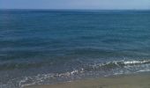 Tocht Stappen Argelès-sur-Mer - retour de la plage - Photo 1