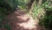 Trail Walking Lézardrieux - GR 34 2015 étape 1 - Photo 3