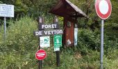 Trail Walking Allevard - Lacs Moretans depuis le pont du Veyton - Photo 18