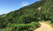 Trail Walking La Bresse - Le Couchetat - Photo 6