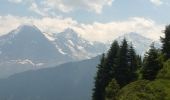 Tocht Stappen Gündlischwand - Schynige Platte chemin panoramique 06.07.15 - Photo 3