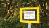 Trail Walking Villelongue-dels-Monts - VILLELONGUE-DELS-MONTS 66 - ronde par les ALBERES  - Photo 3