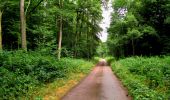 Trail Walking Ivors - en forêt de Retz_35 _ Ivors_le rond Capitaine et les bruyères de Gondreville_AR - Photo 3