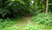 Trail Walking Ivors - en forêt de Retz_35 _ Ivors_le rond Capitaine et les bruyères de Gondreville_AR - Photo 11