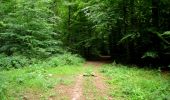 Trail Walking Ivors - en forêt de Retz_35 _ Ivors_le rond Capitaine et les bruyères de Gondreville_AR - Photo 12
