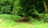 Trail Walking Ivors - en forêt de Retz_35 _ Ivors_le rond Capitaine et les bruyères de Gondreville_AR - Photo 7