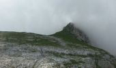 Tocht Stappen Villard-de-Lans - villard de lans-la grande soeur Agathe  - Photo 4