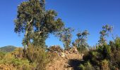 Excursión Senderismo Le Boulou - LES THERMES DU BOULOU - 66 - Albera viva - PUIG de l'Estella - Photo 6