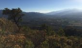 Tocht Stappen Le Boulou - LES THERMES DU BOULOU - 66 - Albera viva - PUIG de l'Estella - Photo 5