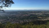 Trail Walking Le Boulou - LES THERMES DU BOULOU - 66 - Albera viva - PUIG de l'Estella - Photo 3