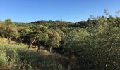 Excursión Senderismo Le Boulou - LES THERMES DU BOULOU - 66 - Albera viva - PUIG de l'Estella - Photo 1