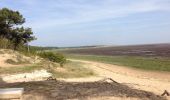 Tocht Fiets Saint-Palais-sur-Mer - Boucle : Nauzan, Mornac, La Tremblade, Phare La Coubre, La Palmyre Nauzan. - Photo 2