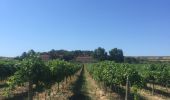 Tocht Stappen Bages - BAGES 66 - autour du Moulin à Vent - Photo 1