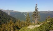 Excursión Senderismo Le Haut-Bréda - Lacs de la Valloire - Photo 15