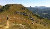 Trail Walking Mandailles-Saint-Julien - cabrespine - Photo 4