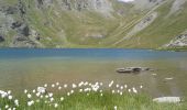 Tocht Stappen Aiguilles - les lacs du Malrifs - Photo 1