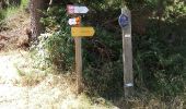 Randonnée Marche Peyre en Aubrac - aumont aubrac - gilbertes - Photo 1
