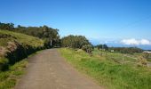 Tour Wandern Les Avirons - La Réunion - Boucle au Tevelave par le Sentier Grande Terre - Photo 8
