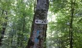 Trail Walking Montiers-sur-Saulx - les boucles de la forêt domanial allongée de 7kms - Photo 2