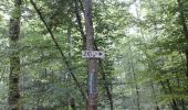 Trail Walking Montiers-sur-Saulx - les boucles de la forêt domanial allongée de 7kms - Photo 1