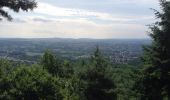 Trail Other activity Saint-Jean-Saverne - mont st Michel  - Photo 9