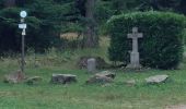 Trail Other activity Saint-Jean-Saverne - mont st Michel  - Photo 3