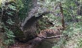 Trail Walking Saint-Diéry - Source et cheminée de fée de Saint Diery  - Photo 2