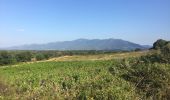 Excursión Senderismo Tresserre - TRESSERRE 66 - PASSA - promenade dans le vignoble des Aspres - Photo 7