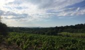 Randonnée Marche Tresserre - TRESSERRE 66 - PASSA - promenade dans le vignoble des Aspres - Photo 6
