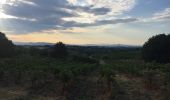 Randonnée Marche Tresserre - TRESSERRE 66 - PASSA - promenade dans le vignoble des Aspres - Photo 1