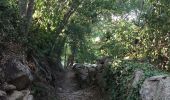 Trail Walking Laroque-des-Albères - SOREDE 66 - LAROQUE DES ALBERES - boucle  - Photo 8