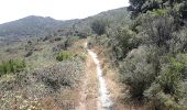 Trail Walking Millas - Panoramique de Força Réal Millas - Photo 5