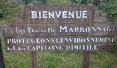 Percorso Marcia Entre-Deux - La Réunion - Le Dimitile (aller-retour) par le sentier de  la chapelle. - Photo 13