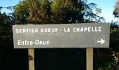Percorso Marcia Entre-Deux - La Réunion - Le Dimitile (aller-retour) par le sentier de  la chapelle. - Photo 12