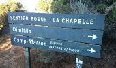 Percorso Marcia Entre-Deux - La Réunion - Le Dimitile (aller-retour) par le sentier de  la chapelle. - Photo 9