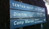 Randonnée Marche Entre-Deux - La Réunion - Le Dimitile (aller-retour) par le sentier de  la chapelle. - Photo 4
