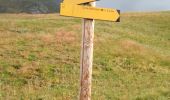 Tocht Stappen Saint-Véran - col de Saint Véran  - Photo 4