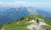 Trail Walking Gemeinde Seefeld in Tirol - Seefelder Spitze - Photo 13