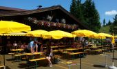 Tour Wandern Gemeinde Seefeld in Tirol - Mösern - Gschwandtkopf - Reith - Photo 7
