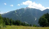 Tour Wandern Gemeinde Seefeld in Tirol - Mösern - Gschwandtkopf - Reith - Photo 6