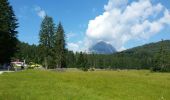Trail Walking Gemeinde Seefeld in Tirol - Les lacs - Wildmoos - Möserersee - Photo 10