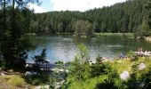 Randonnée Marche Gemeinde Seefeld in Tirol - Les lacs - Wildmoos - Möserersee - Photo 4